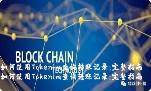 如何使用Tokenim查询转账记录：完整指南  
如何使用Tokenim查询转账记录：完整指南