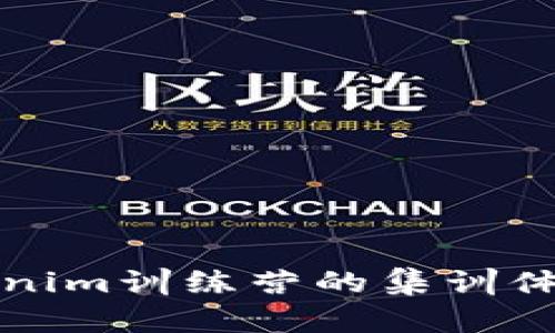 深入探索Tokenim训练营的集训体系与发展前景
