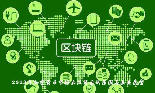 2023年加密货币市场大跌背后的原因与未来展望
