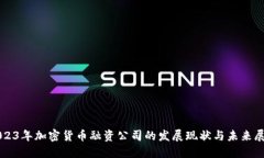 2023年加密货币融资公司的