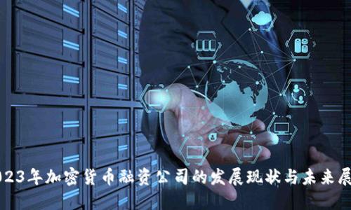 2023年加密货币融资公司的发展现状与未来展望