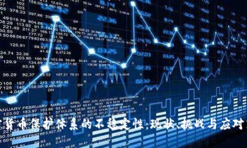 加密货币保护体系的不稳定性：现状、挑战与应对策略
