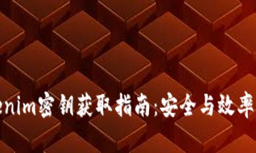 Tokenim密钥获取指南：安全与效率并存