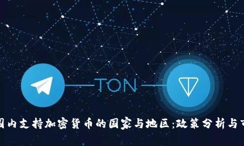 全球范围内支持加密货币的国家与地区：政策分析与市场趋势