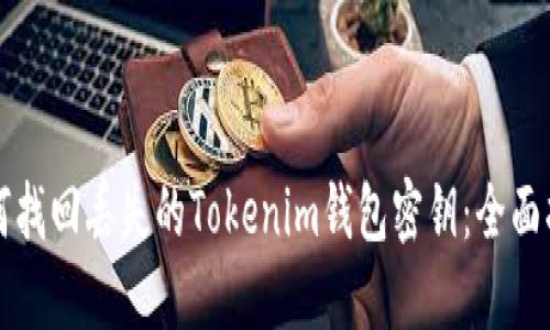 如何找回丢失的Tokenim钱包密钥：全面指南
