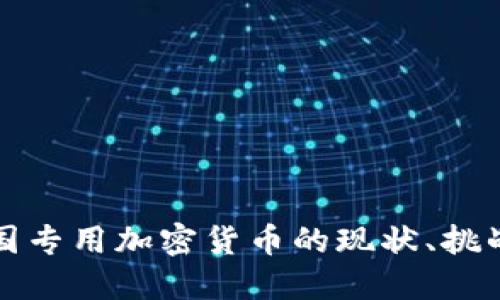深入探讨美国专用加密货币的现状、挑战与未来发展