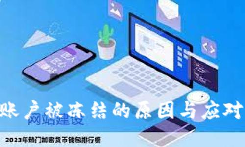 Tokenim账户被冻结的原因与应对措施详解