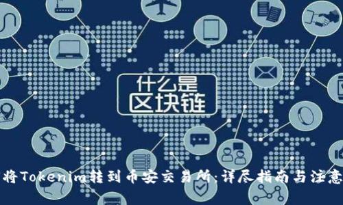 如何将Tokenim转到币安交易所：详尽指南与注意事项
