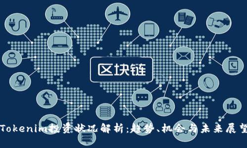 Tokenim投资状况解析：趋势、机会与未来展望