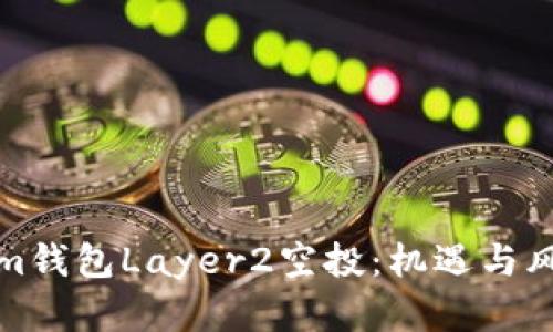 深入解析Tokenim钱包Layer2空投：机遇与风险并存的新时代