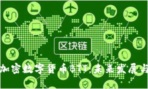 深入解析加密数字货币BTT：未来发展与投资机会