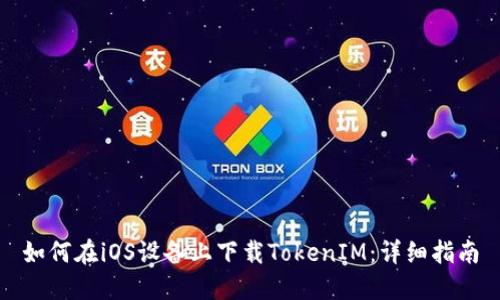 如何在iOS设备上下载TokenIM：详细指南