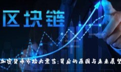 加密货币市场大震荡：背
