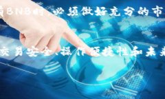 在讨论Tokenim是否支持BNB之