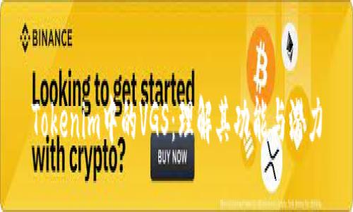 Tokenim中的VGS：理解其功能与潜力