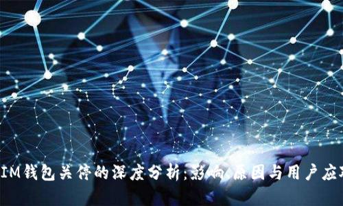 TokenIM钱包关停的深度分析：影响、原因与用户应对策略