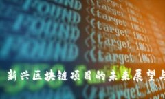 Tokenim: 新兴区块链项目的