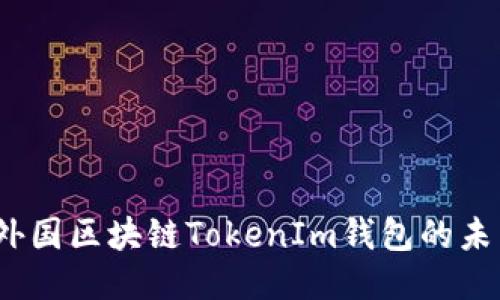 探索糖果网：外国区块链TokenIm钱包的未来潜力与应用