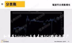 如何在Tokenim上查看旧BCH地