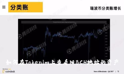 如何在Tokenim上查看旧BCH地址的资产