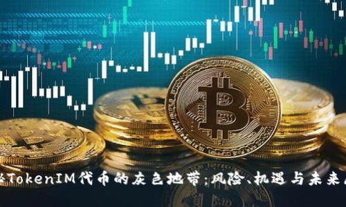 探秘TokenIM代币的灰色地带：风险、机遇与未来展望