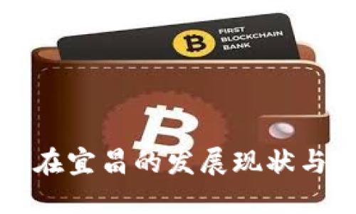 加密货币在宜昌的发展现状与未来展望
