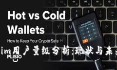 Tokenim用户量级分析：现状