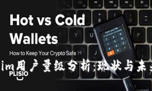 Tokenim用户量级分析：现状与未来趋势