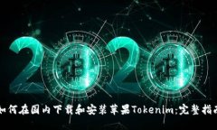 如何在国内下载和安装苹果Tokenim：完整指南