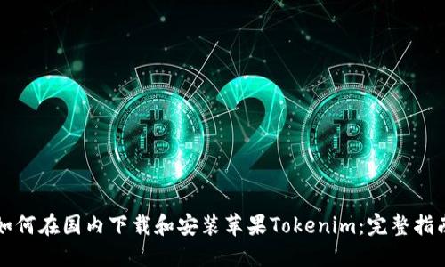 如何在国内下载和安装苹果Tokenim：完整指南