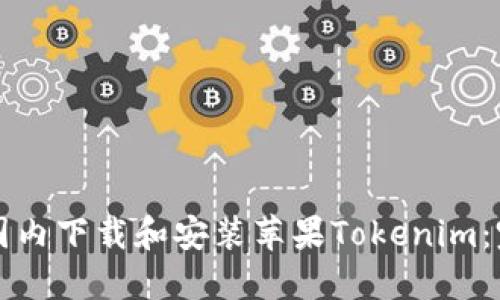 如何在国内下载和安装苹果Tokenim：完整指南
