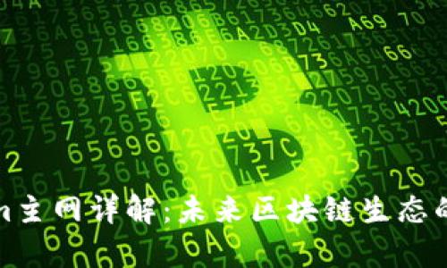 Tokenim主网详解：未来区块链生态的新篇章
