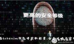 如何在tokenim钱包中获取能量：全面攻略与实用技