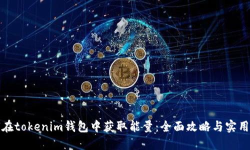 如何在tokenim钱包中获取能量：全面攻略与实用技巧
