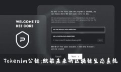 Tokenim公链：赋能未来的区