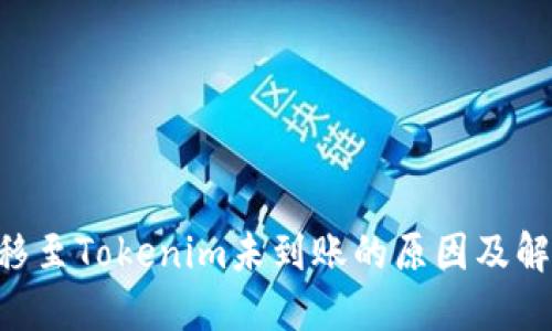 NFT转移至Tokenim未到账的原因及解决方案