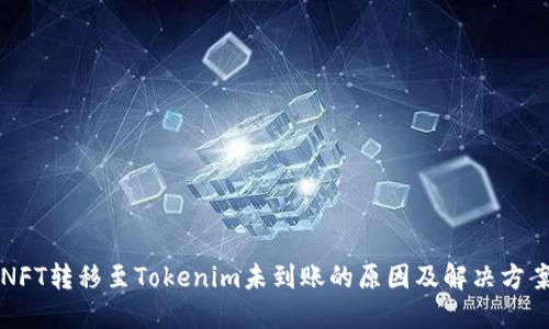 NFT转移至Tokenim未到账的原因及解决方案