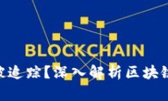 Tokenim是否能被追踪？深入解析区块链隐私与监控