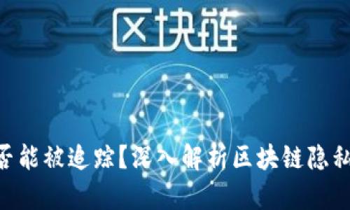 Tokenim是否能被追踪？深入解析区块链隐私与监控问题