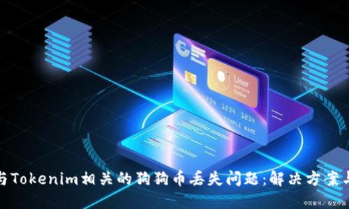 如何处理与Tokenim相关的狗狗币丢失问题：解决方案与预防措施