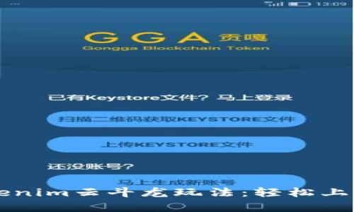 深入解析Tokenim云斗龙玩法：轻松上手的终极指南