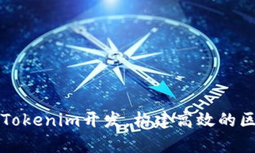全面解析Tokenim开发，构建高效的区块链应用