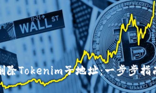 如何安全有效地删除Tokenim子地址：一步步指南与常见问题解答