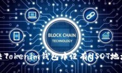如何解决Tokenim钱包中没有
