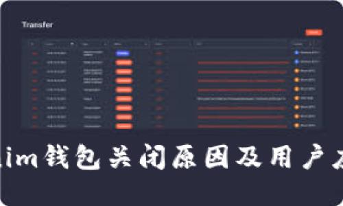 : Tokenim钱包关闭原因及用户应对策略