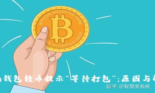 Tokenim钱包转币提示“等待打包”：原因与解决方案