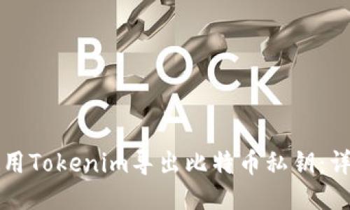 如何使用Tokenim导出比特币私钥：详细指南