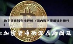 新加坡禁止加密货币的深