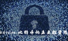 Tokenim：比特币的未来投资