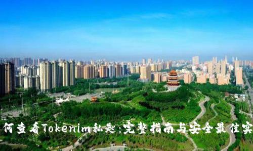 如何查看Tokenim私匙：完整指南与安全最佳实践